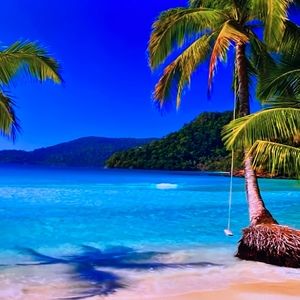 Meet your Posher, Bridget